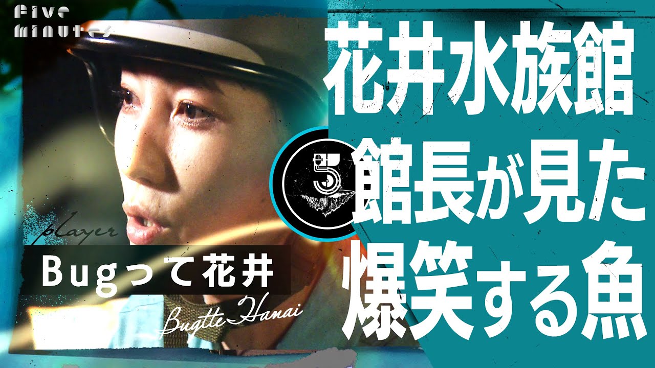 【衝撃】サメを、魚を愛し水族館を立ち上げた女が見たものとは・・・